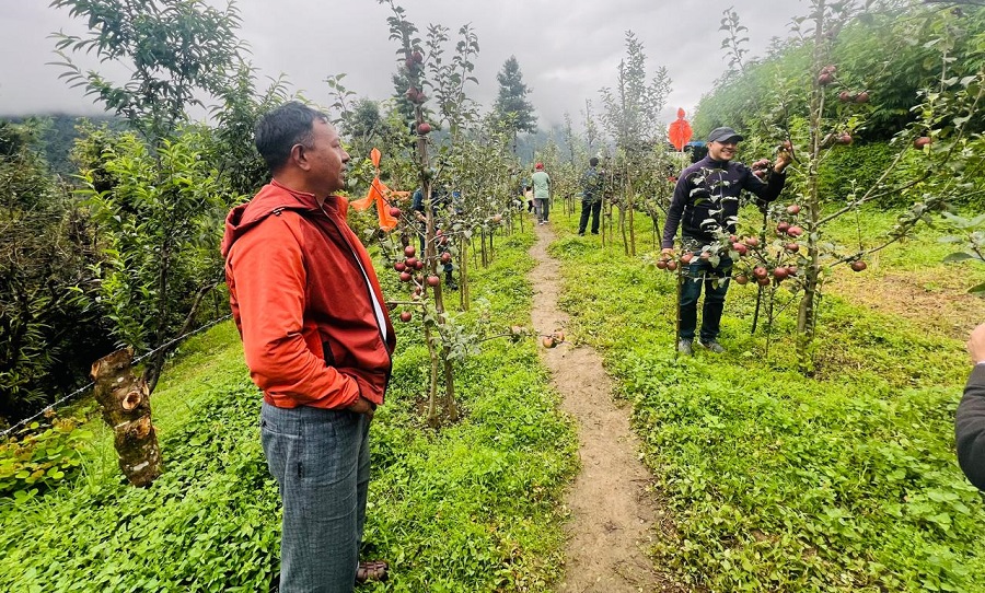 ताराखोलामा स्याउ खेतीको परीक्षण सफल
