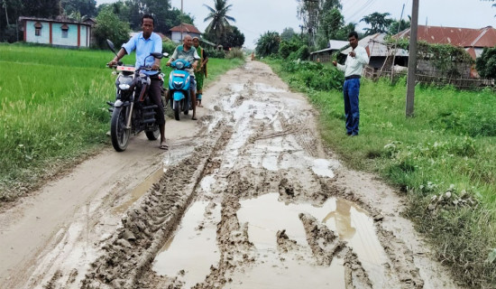 सडक मर्मतको नाममा अनियमितता