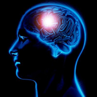 भिरबाट लडेर महिलाको मृत्यु