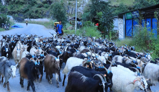अस्पताललाई उपचारभन्दा पनि बिजुलीको बिल भुक्तानीको पीडा