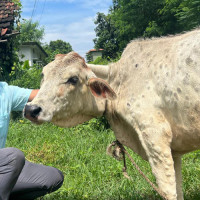 ‘नदीनाला कसका ?’ विषयक तस्बिर प्रदर्शनी