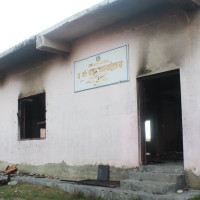 खसीबोका किन्दा हरियो सिङ भएका मात्र किन्न सुझाव