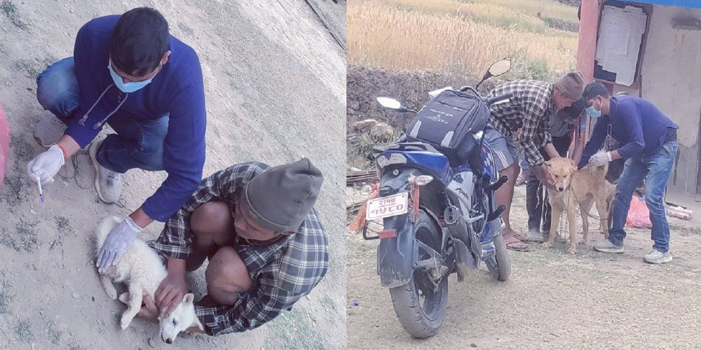सल्यानमा रेबिजविरुद्ध खोप अभियान तथा विद्यालय शिक्षा कार्यक्रम सञ्चालन
