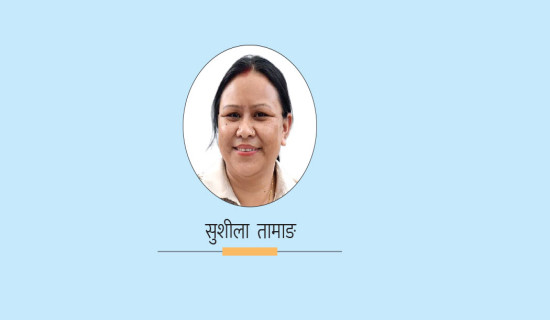 विमान दुर्घटनाका साक्षीहरू भन्छन् ....
