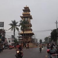 पाँच हजार बढीमा स्क्रब टाइफस पुष्टि, लाग्न नदिन के गर्ने ?