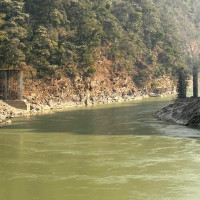 पाँच हजार बढीमा स्क्रब टाइफस पुष्टि, लाग्न नदिन के गर्ने ?