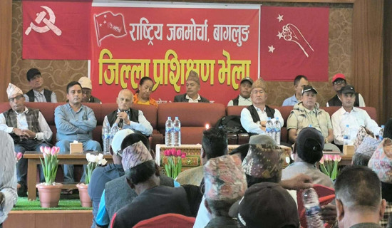 पछिल्लो आन्दोलन वैदेशिक डिजाइन हो : नेता सिंह