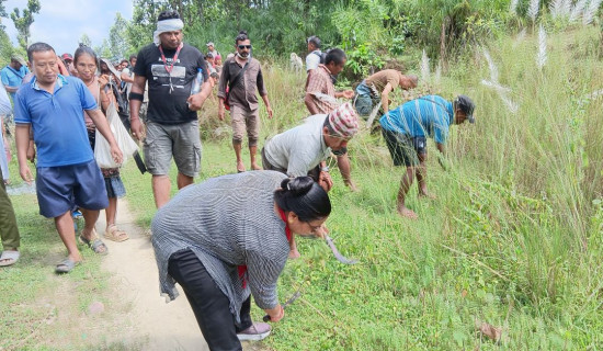 वगुवन–त्रिवेणी सडक खण्ड सरसफाइमा स्थानीय