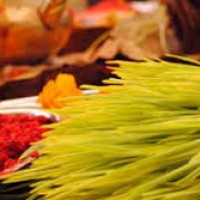 तालिवानको रिहाइपछि दोहा पुगेका बेलायती वृद्ध दम्पती शनिबार स्वदेश फर्किने