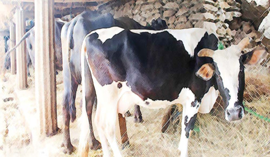 बौद्ध सम्पदाहरु जोड्नु आवश्यक