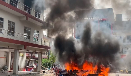 जेनजी घाइतेका सुझाव सुशासन कायम होस्