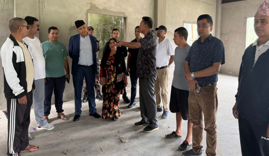 हलमा बलिउडसहित नेपाली चलचित्र पुनः प्रदर्शन