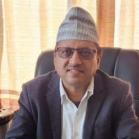 हलमा बलिउडसहित नेपाली चलचित्र पुनः प्रदर्शन