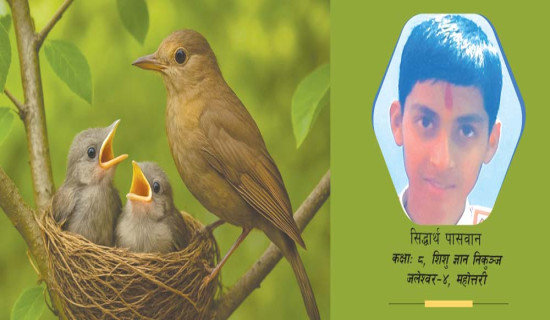चरा र राजा