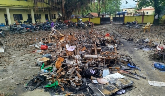 लय समात्ने प्रयासमा सरकारी निकाय