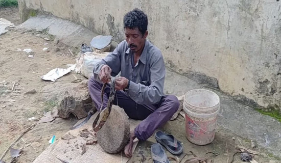 दमाहा बखर्ने पेसा सङ्कटमा