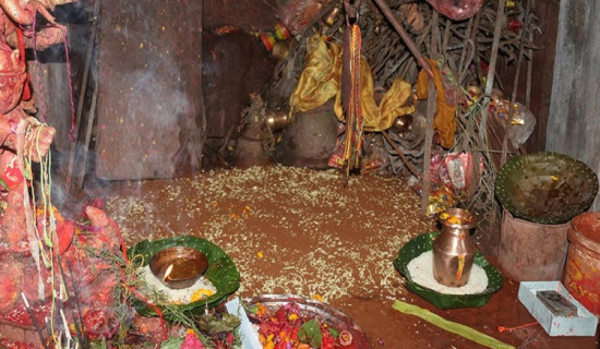 गोरखा दरबारको दसैँघरमा जमरा राखियो
