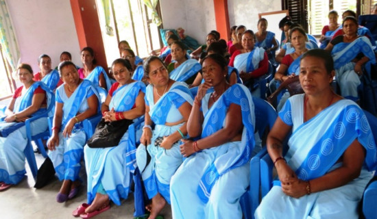 महिला सामुदायिक स्वास्थ्य स्वयंसेविका कार्यक्रमलाई पब्लिक हेल्थ च्याम्पियन अवार्ड