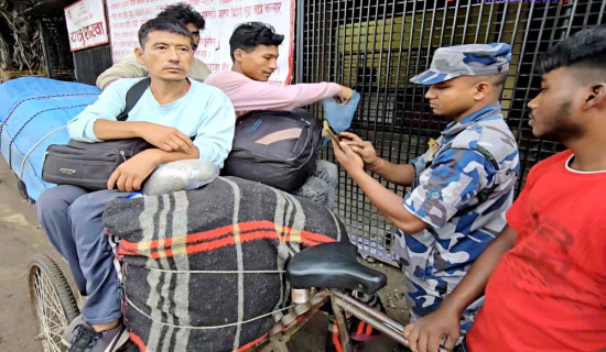 दसैँ मनाउन फर्किनेको घुइँचो