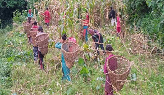 दुःखमा साथ दिने गाउँ
