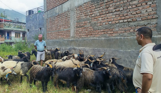 बागलुङ भित्रिए च्याङ्ग्रा