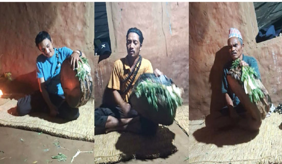 समावेशीकरणको दिशामा नयाँ फड्को : गोरखापत्रद्वारा प्रकाशित चेपाङ भाषा