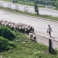 विस्थापनको सँघारमा इन्टरनेट सिकाउने ‘थ्रिजी’