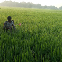 भारतबाट फर्किने नेपाली बिचबाटोमै असुरक्षित