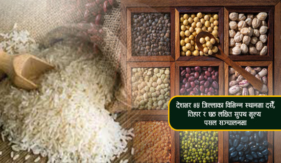 आफ्नै भवनबाट वडाको सेवा प्रवाह सुरु