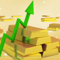 आफ्नै भवनबाट वडाको सेवा प्रवाह सुरु
