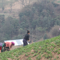 विस्थापनको सँघारमा इन्टरनेट सिकाउने ‘थ्रिजी’