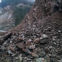 काठ चोरेको आरोपमा सामुदायिक वनका अध्यक्षसहित पक्राउ