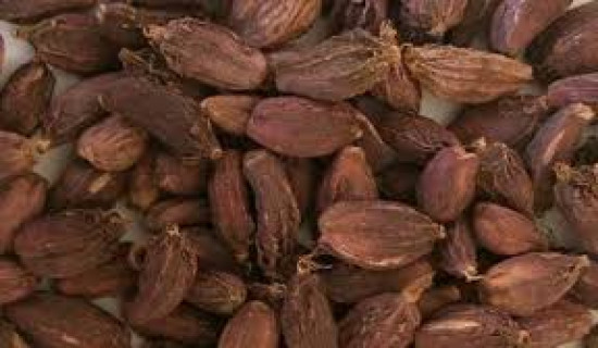 अलैँचीको निर्यात ४४ प्रतिशतले बढ्यो
