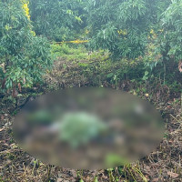 आगजनीबाट ध्वस्त घरअगाडि पत्रकार सम्मेलन