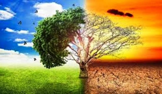 चीनको नयाँ जलवायु लक्ष्य सार्वजनिक, ‘कम वाचा-अधिक कार्य’ गर्ने अपेक्षा
