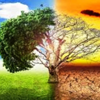 तुईनखोला पहिरो : यात्रुलाई निःशुल्क बस सेवा