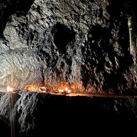 हालसम्मकै उच्च बिमा दाबी