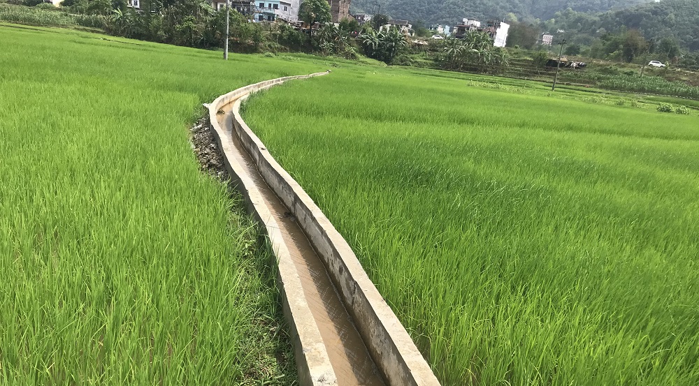 blog