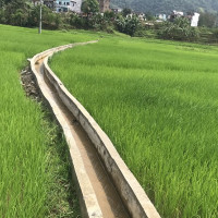 कृषिको विकास नगरे मुलुक कृषिमा आत्मनिर्भर बन्न नसक्ने : सभापति सुवेदी