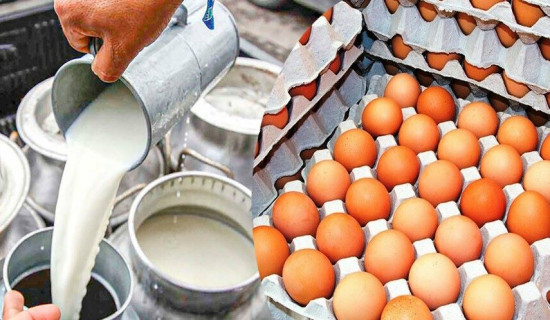 दुध र अण्डामा आत्मनिर्भर नवलपुर