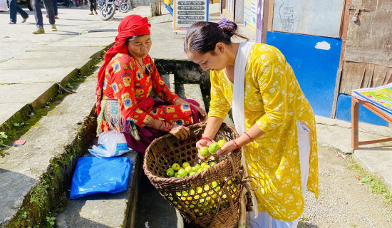 अम्बा बेचेर दसैँ खर्चको जोहो