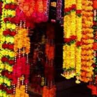 दस नाकामा पशुको स्वास्थ्य परीक्षण