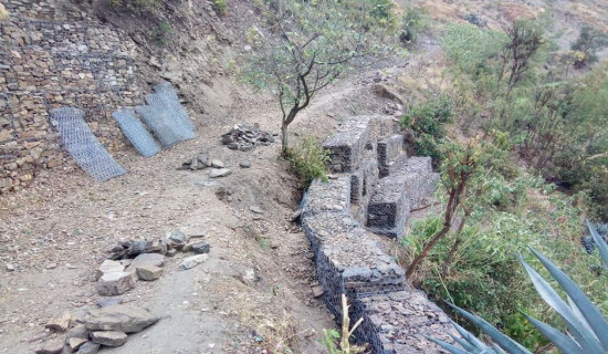 पालिका जोड्ने सडकमा असी करोड