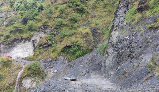 सल्यानमा प्लास्टिकका फूलमाला बिक्रीमा रोक