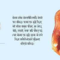 किताब बेच्दै डा.महावीर पुन : दुई करोड ५५ लाख संकलन