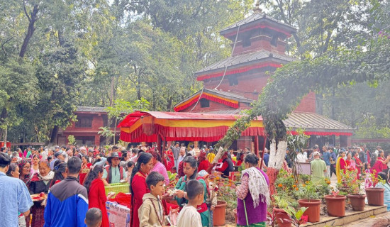 सवारी दुर्घटनामा दुई जना घाइते