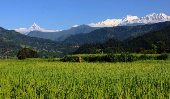 माछापुच्छ्रे अन्नपूर्ण हिमशृङ्खला