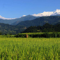 चीनमा सुरुङ भत्किएपछि तीन मजदुरको मृत्यु, अनुसन्धान जारी