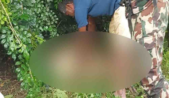 जङ्गली हात्तीको आक्रमणबाट महिलाको मृत्यु