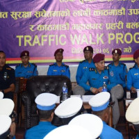 नापीका सर्वेक्षक र अमिनविरुद्ध भ्रष्टाचारको मुद्दा